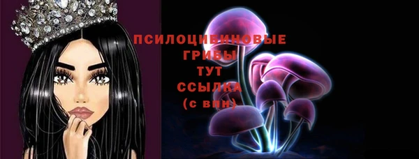 сатива Арсеньев