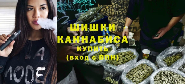 сатива Арсеньев