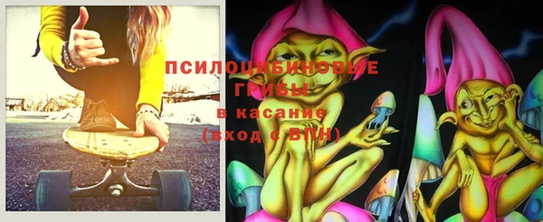 сатива Арсеньев